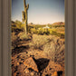 Phoenix Cactus Hill
