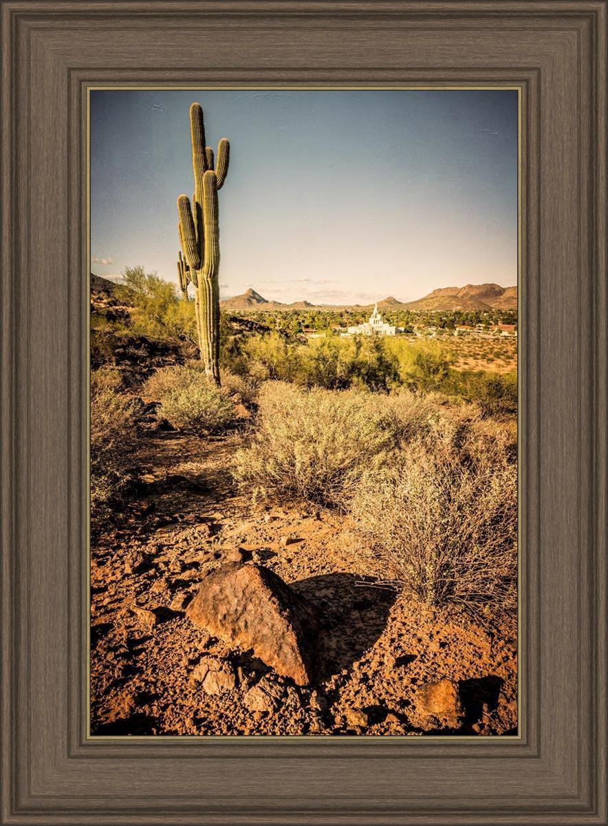 Phoenix Cactus Hill
