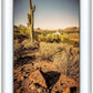 Phoenix Cactus Hill