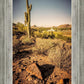 Phoenix Cactus Hill
