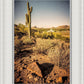 Phoenix Cactus Hill