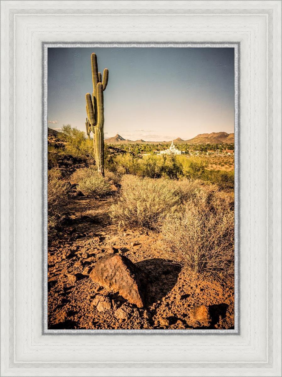 Phoenix Cactus Hill