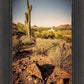 Phoenix Cactus Hill