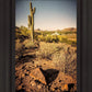 Phoenix Cactus Hill
