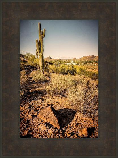 Phoenix Cactus Hill