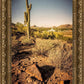 Phoenix Cactus Hill