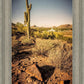 Phoenix Cactus Hill