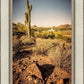 Phoenix Cactus Hill