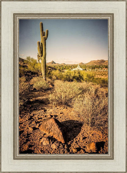 Phoenix Cactus Hill