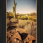 Phoenix Cactus Hill