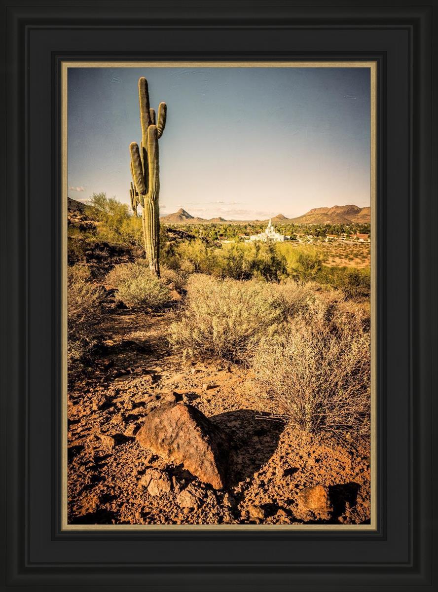 Phoenix Cactus Hill