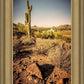 Phoenix Cactus Hill