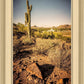 Phoenix Cactus Hill