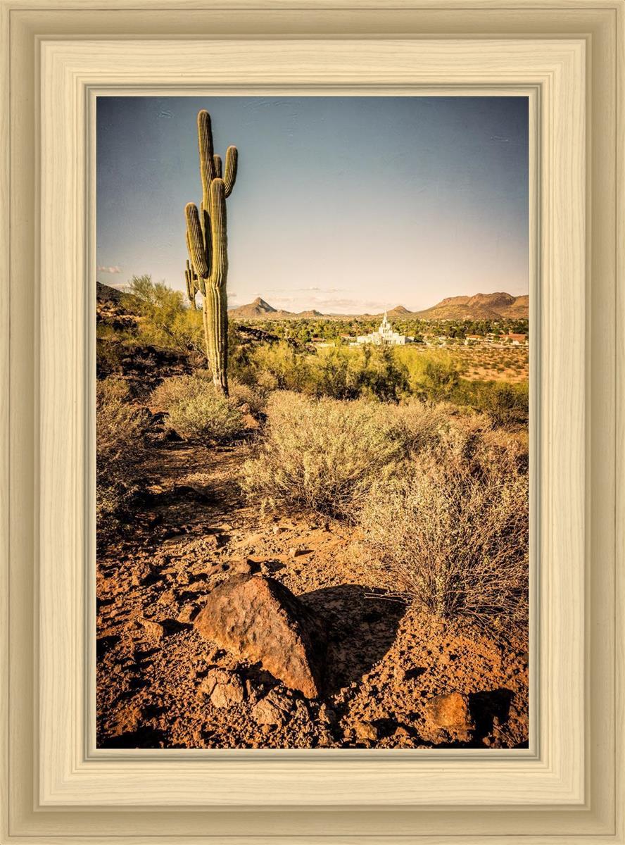 Phoenix Cactus Hill