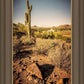 Phoenix Cactus Hill