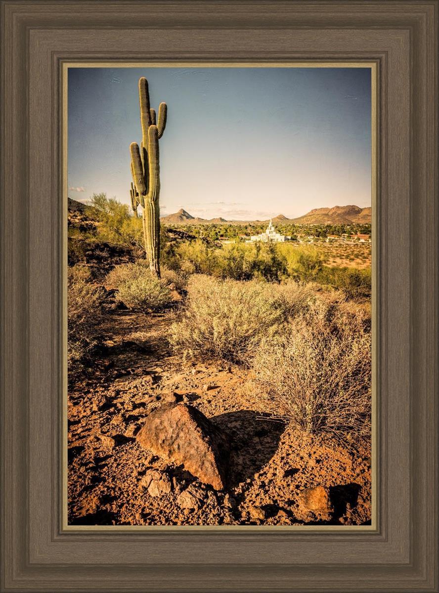 Phoenix Cactus Hill