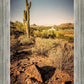 Phoenix Cactus Hill