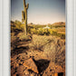 Phoenix Cactus Hill