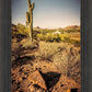 Phoenix Cactus Hill