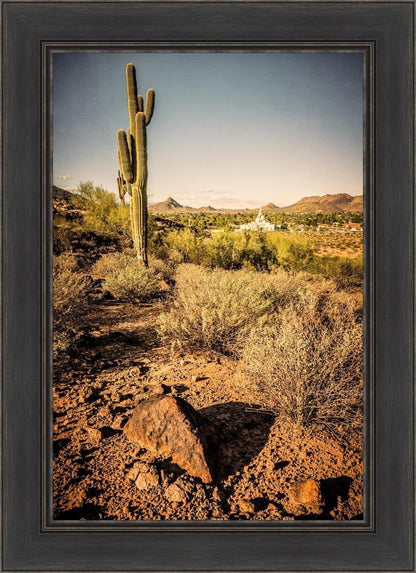 Phoenix Cactus Hill
