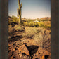 Phoenix Cactus Hill