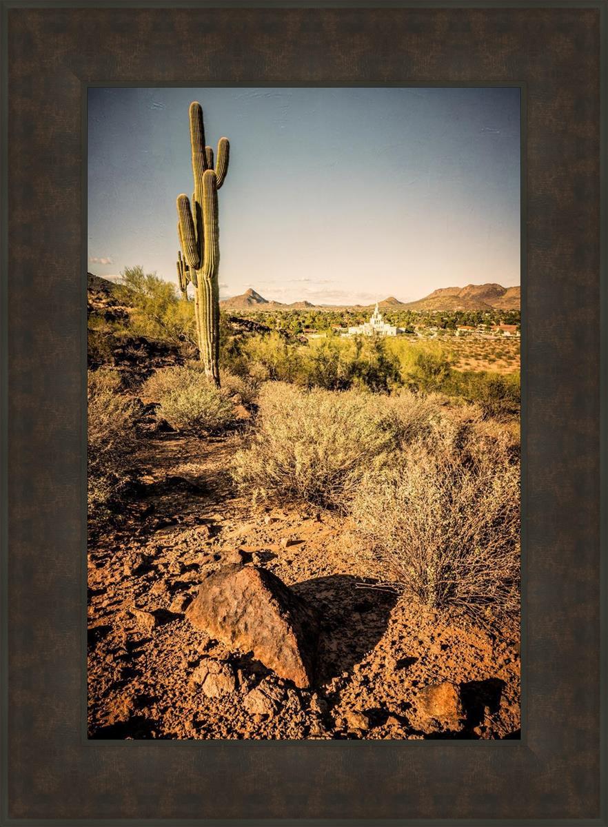 Phoenix Cactus Hill