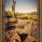 Phoenix Cactus Hill