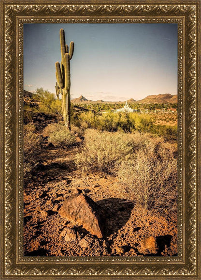 Phoenix Cactus Hill