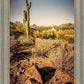 Phoenix Cactus Hill