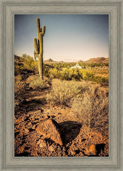 Phoenix Cactus Hill