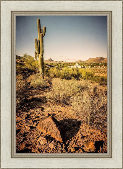 Phoenix Cactus Hill