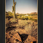 Phoenix Cactus Hill
