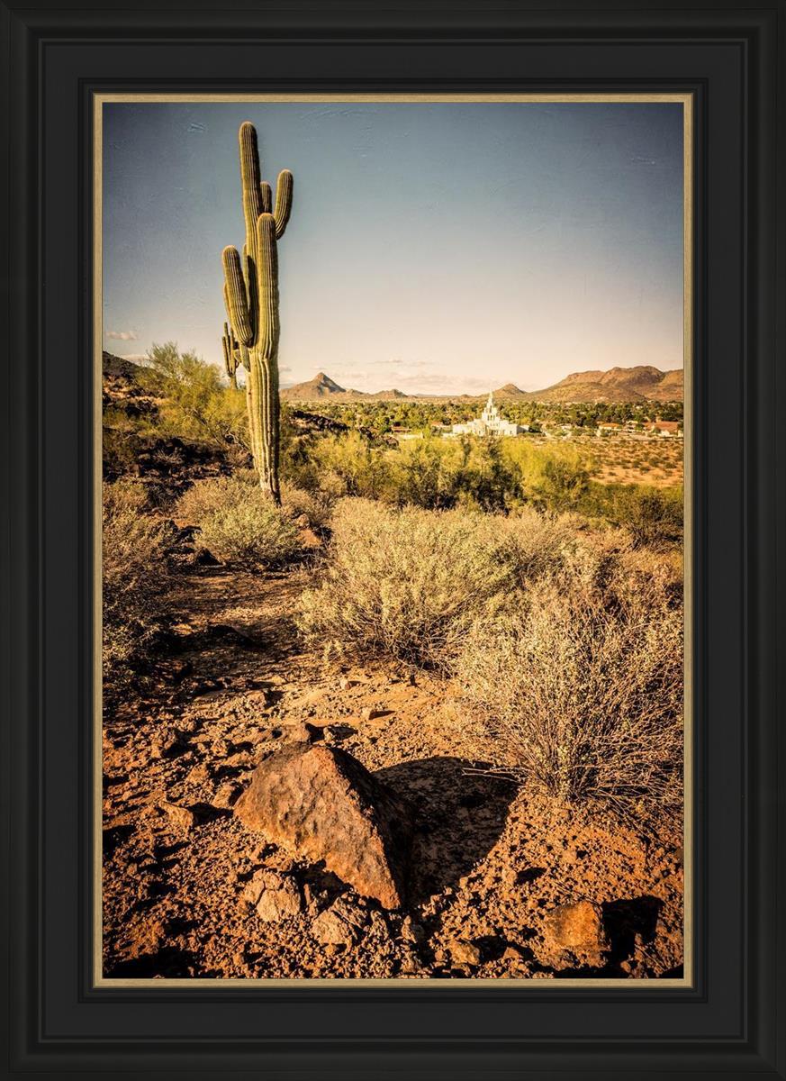 Phoenix Cactus Hill