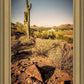 Phoenix Cactus Hill