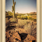 Phoenix Cactus Hill