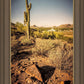 Phoenix Cactus Hill
