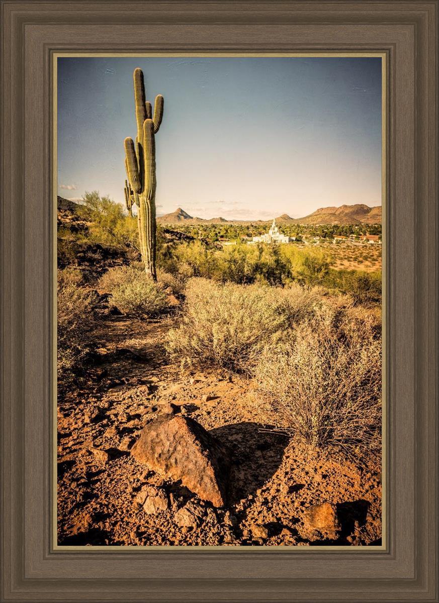 Phoenix Cactus Hill