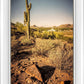 Phoenix Cactus Hill