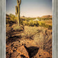 Phoenix Cactus Hill