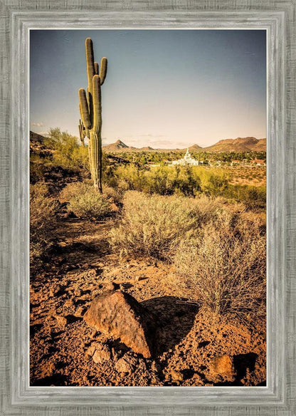 Phoenix Cactus Hill