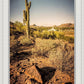 Phoenix Cactus Hill