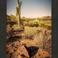 Phoenix Cactus Hill