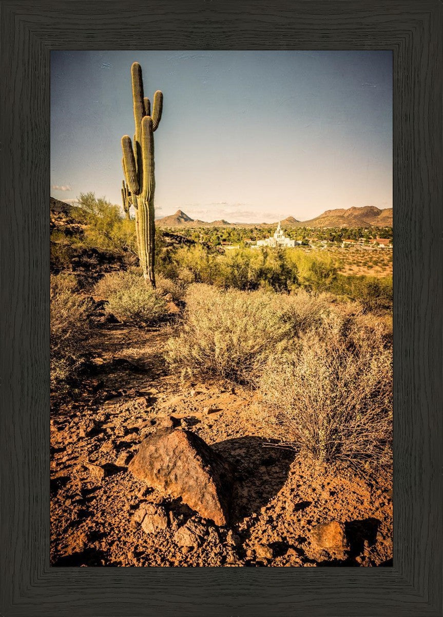 Phoenix Cactus Hill