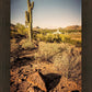 Phoenix Cactus Hill