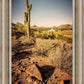 Phoenix Cactus Hill