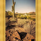 Phoenix Cactus Hill