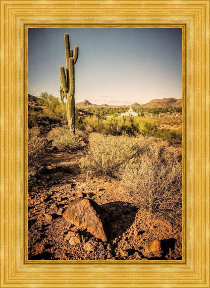 Phoenix Cactus Hill