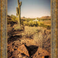 Phoenix Cactus Hill