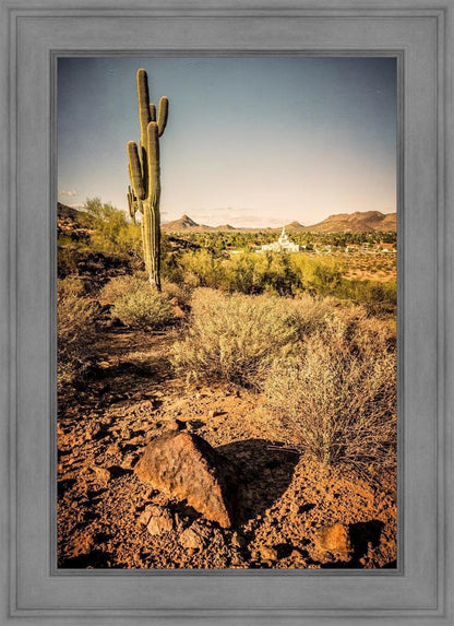 Phoenix Cactus Hill