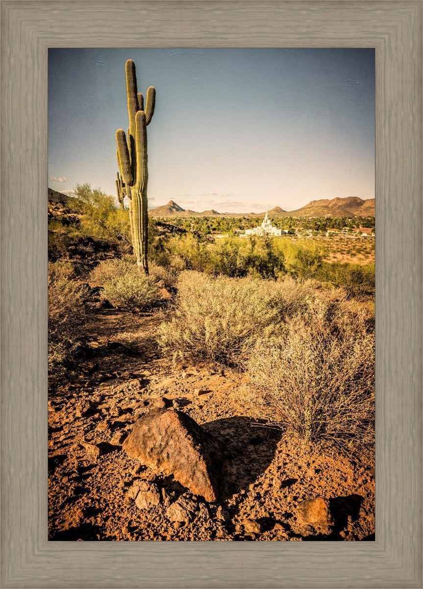 Phoenix Cactus Hill
